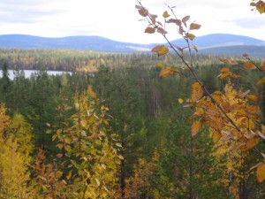Ruskakuva Muonio
