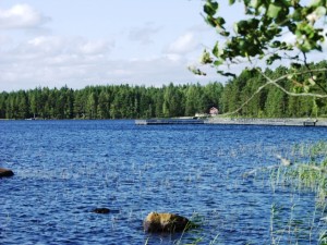 Saarijärven virkistysalue. Kuva: Taru Patteri
