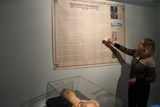 Sinkan museojohtaja Leena Karttunen kertoi meille Sariolan tivolin anatomisesta vahakabinetista. Vahanukkekokoelma oli viimeisen kerran esillä Karhumäen Tivolissa keväällä 1944. Nukkeja oli erilaisia. Sukupuolisairauksia esittävät nuket oli tarkoitettu lomille lähtevien sotilaiden sukupuolivalistukseksi. Kuva: KivaaTekemistä.fi